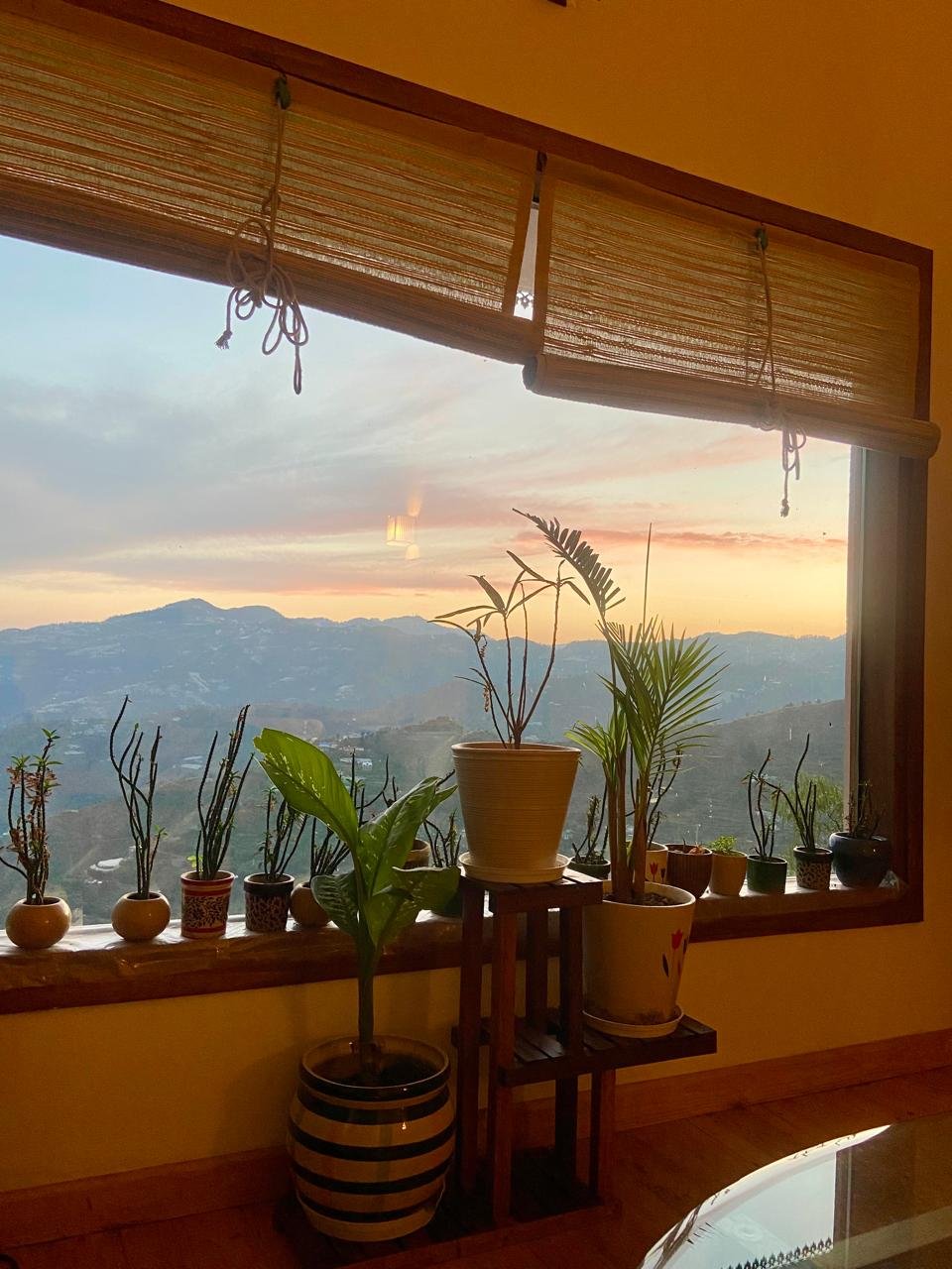 Gorgeous sunsets